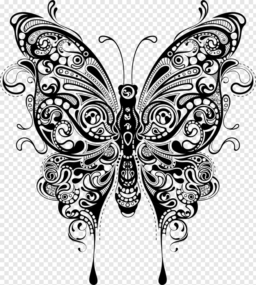butterfly-wings # 1094897