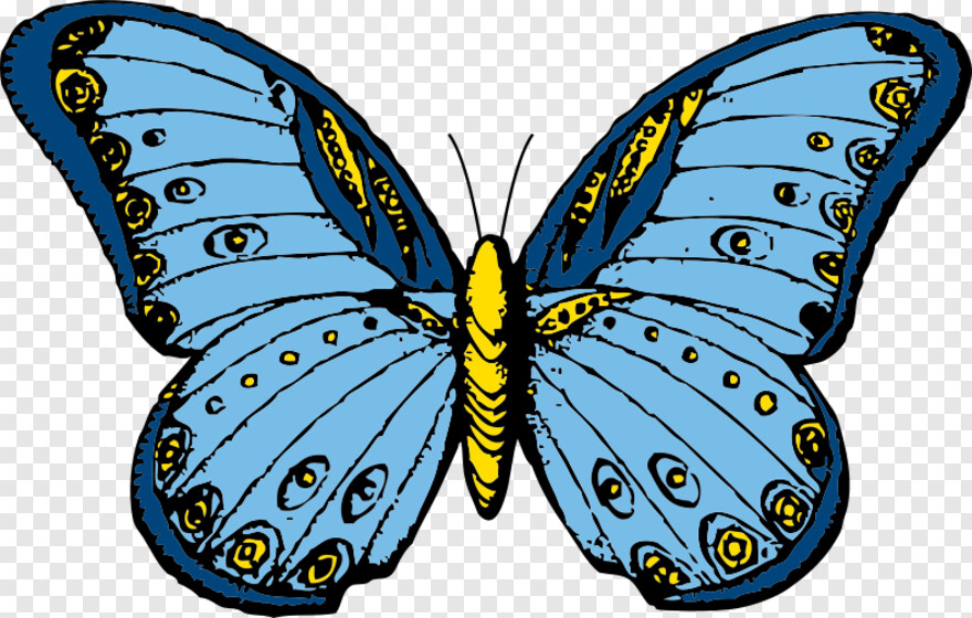 butterfly-wings # 350316