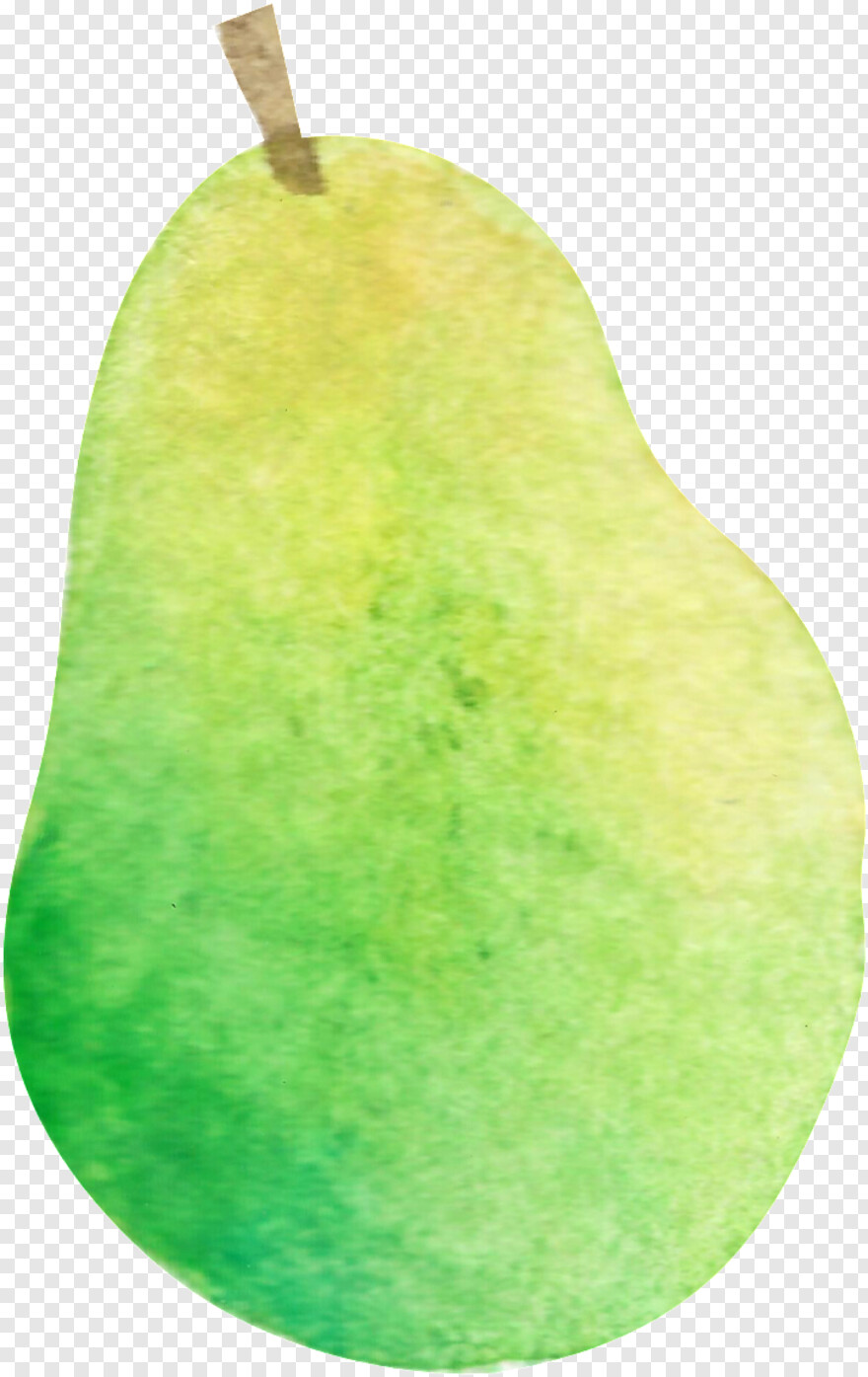 pear # 469200