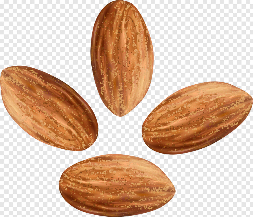 deez-nuts # 672756
