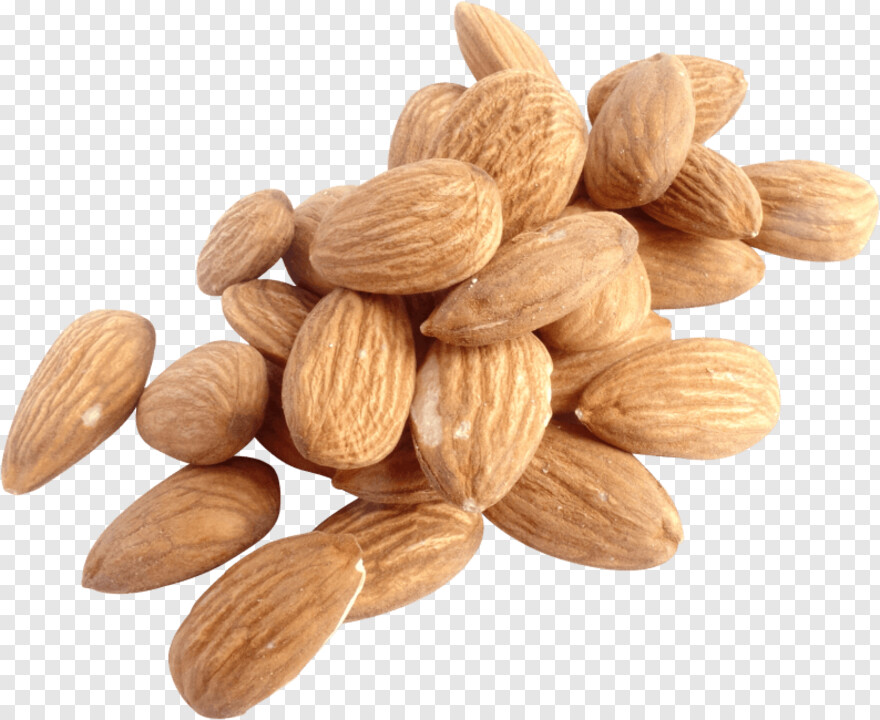 deez-nuts # 537112