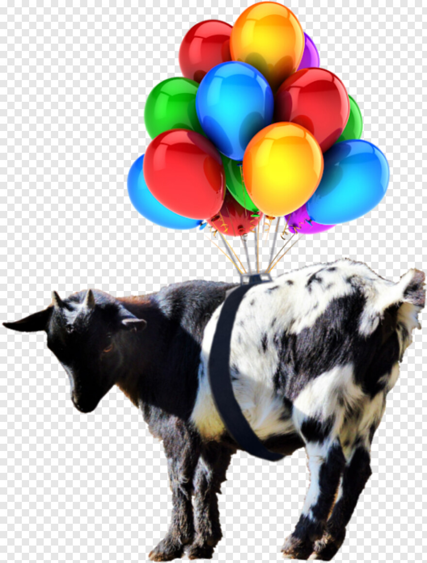 happy-birthday-balloons # 583638