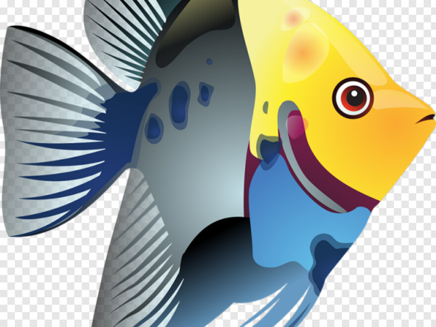 tropical-fish # 369134