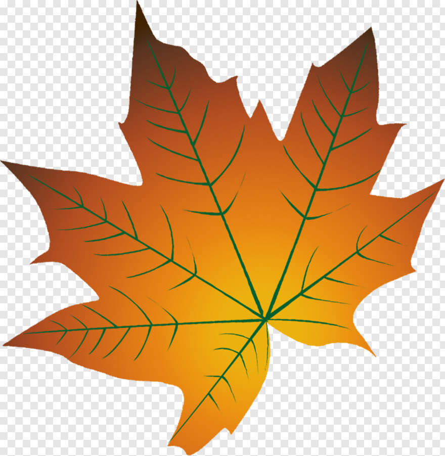fall-leaf # 441901