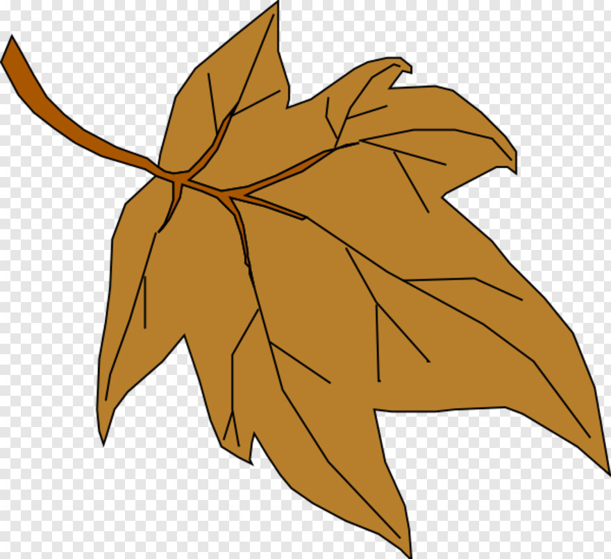 fall-leaf # 847254