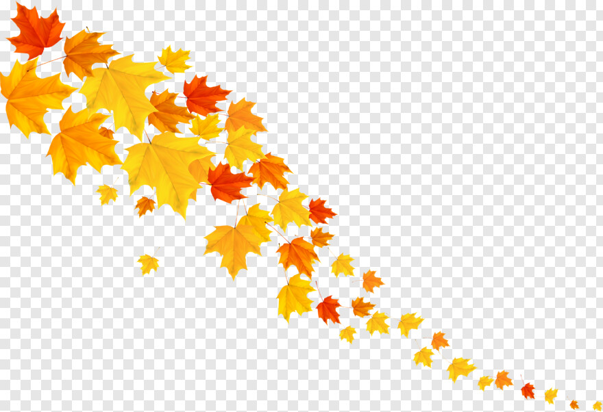 toronto-maple-leafs-logo # 441902