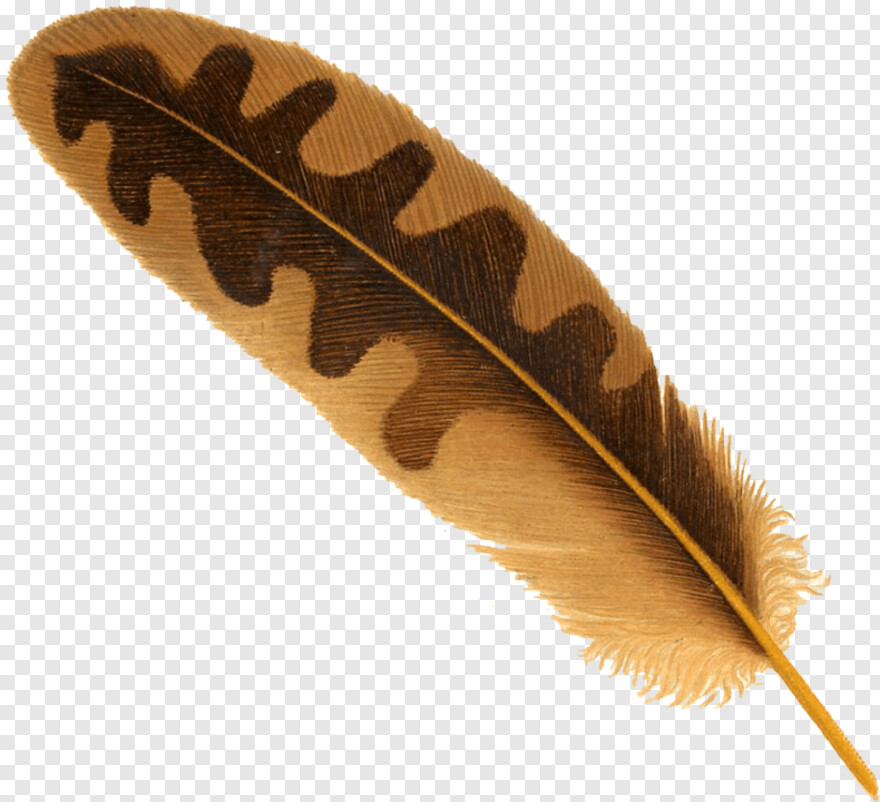 indian-feather # 842524