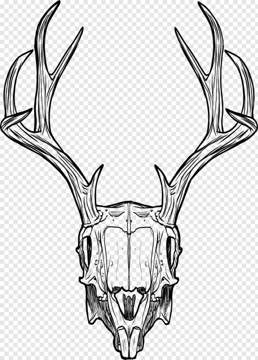 deer-skull # 918914