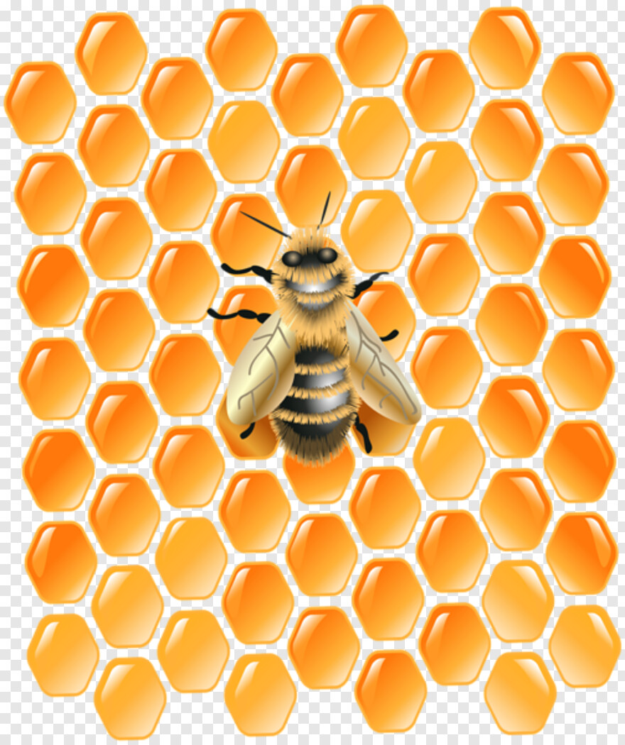 honeycomb # 382308