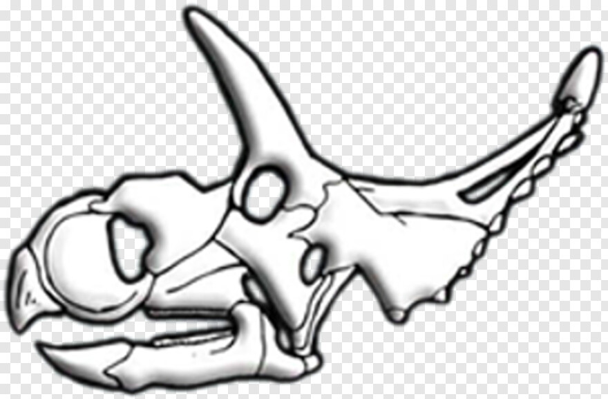  Bull Skull, Skull And Crossbones, Skull Tattoo, Skull Drawing, Black Skull, Pirate Skull