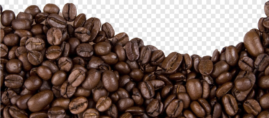 coffee-bean # 389079