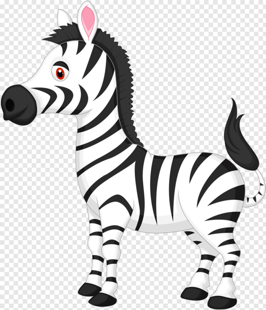 zebra # 546490