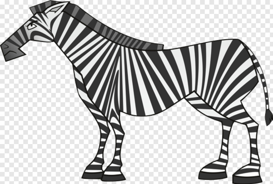 zebra # 678821