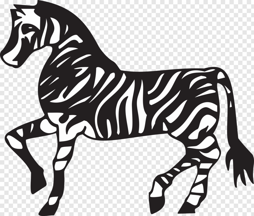 zebra # 366165