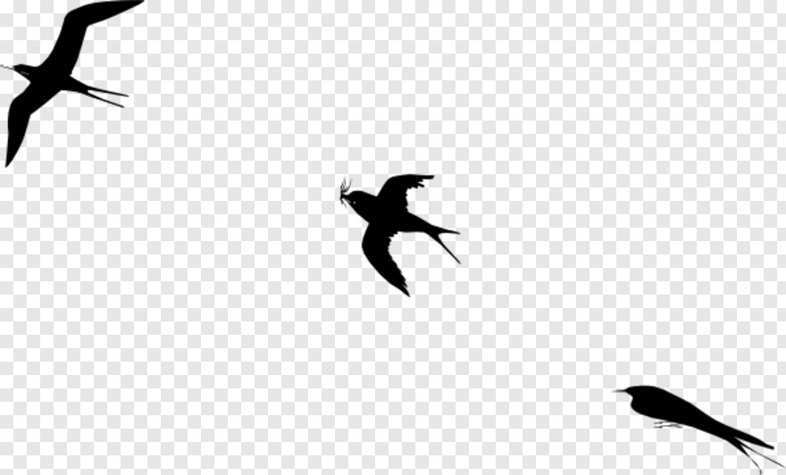 twitter-bird-logo # 361345