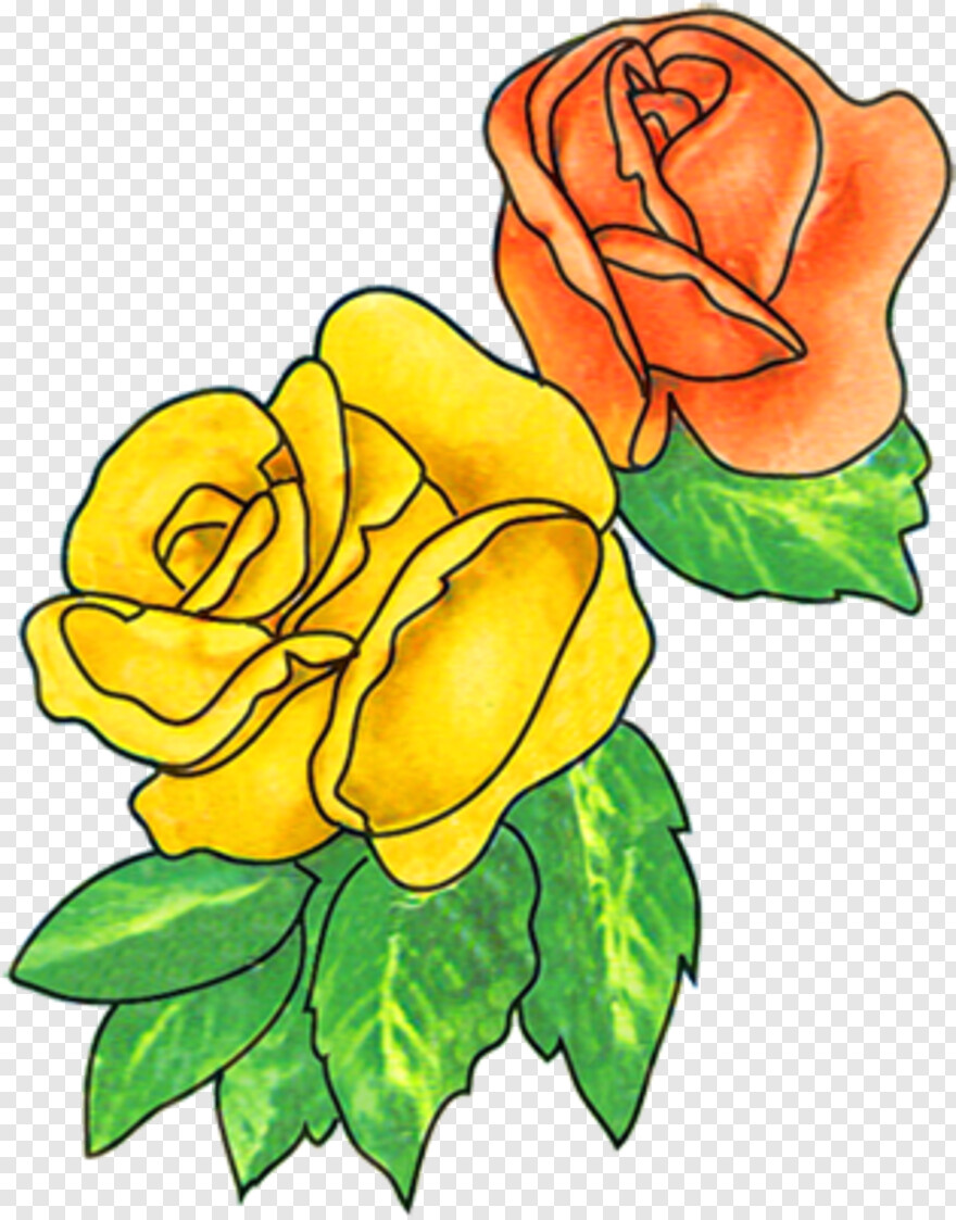  Pink Rose Flower, Rose Flower, Single Rose Flower, Rose Plant, Rose Flower Vector, Potted Plant