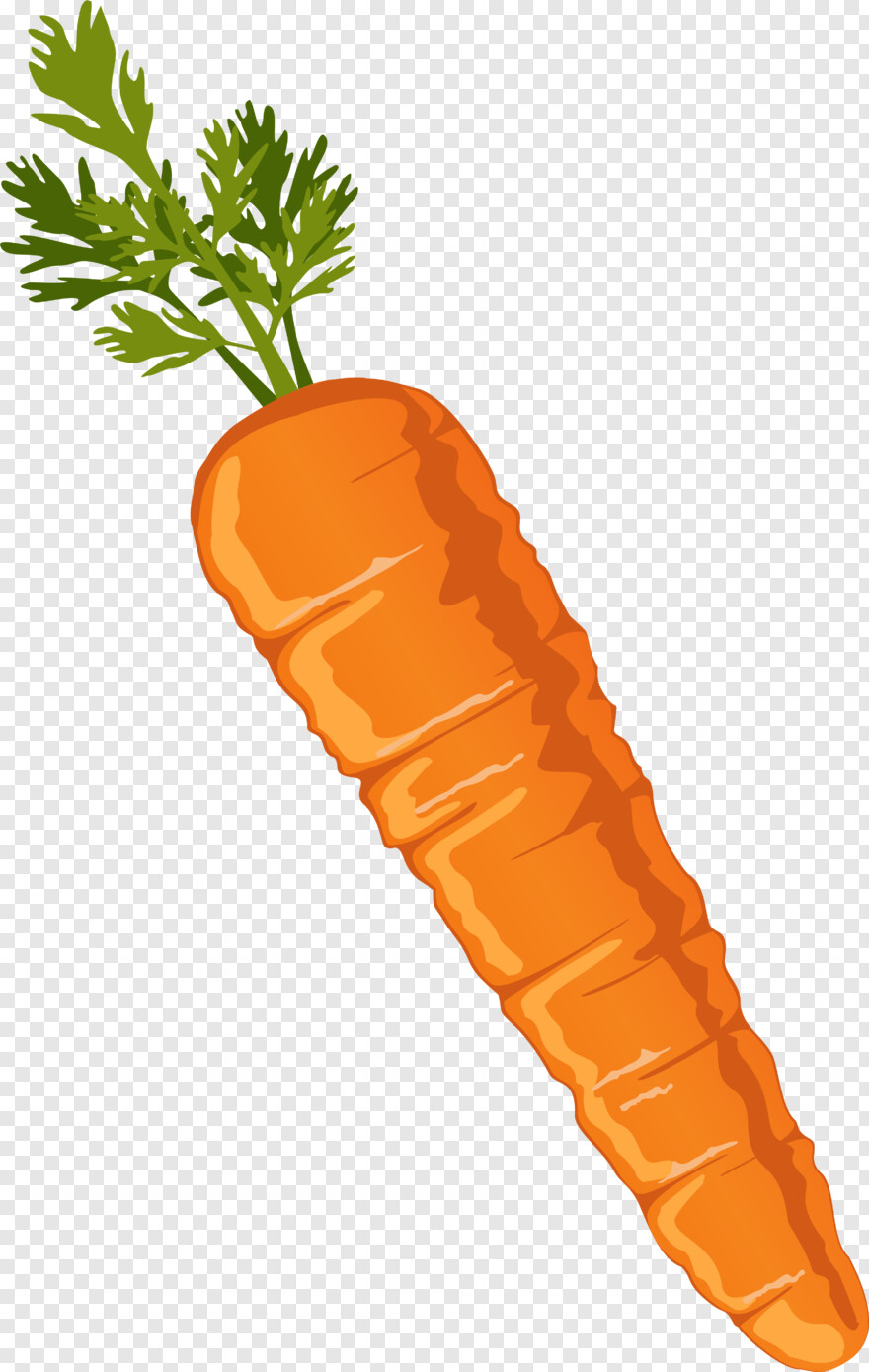 carrot # 429377