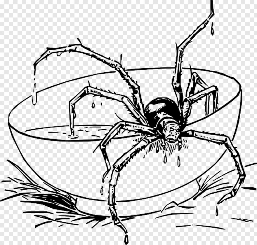 black-widow-spider # 1059827