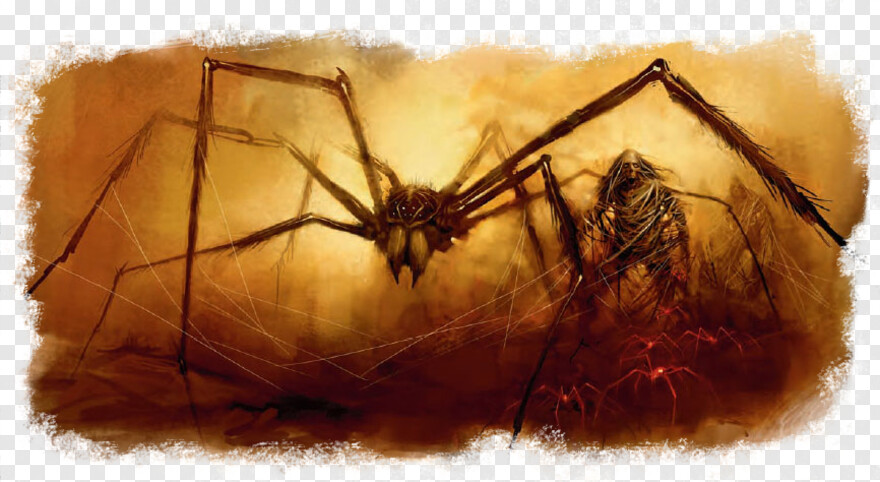 spider-webs # 524239