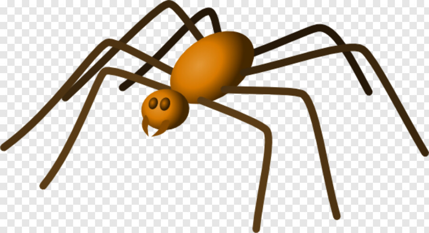 black-widow-spider # 1000433