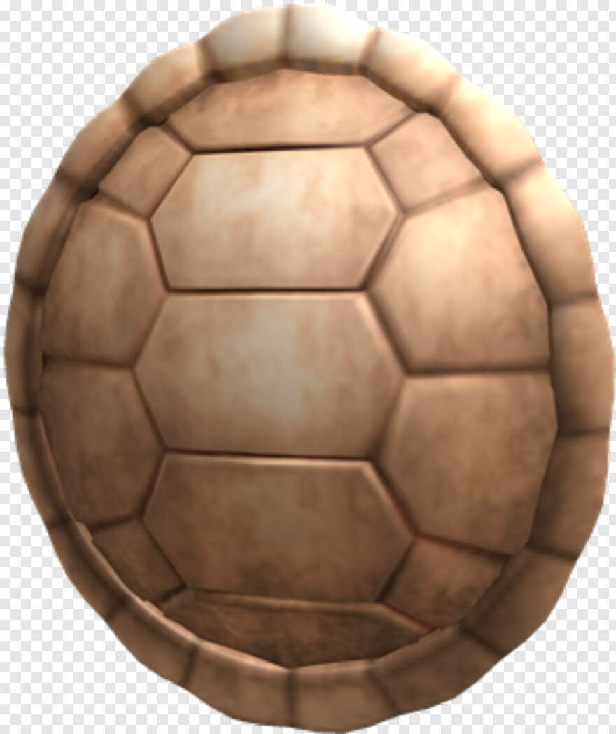 turtle-shell # 433292