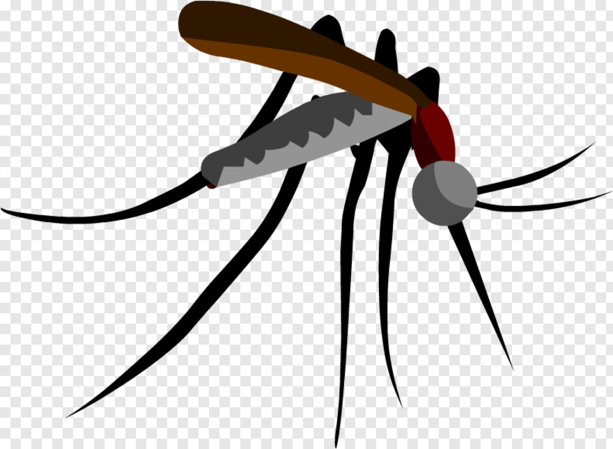 mosquito # 685889