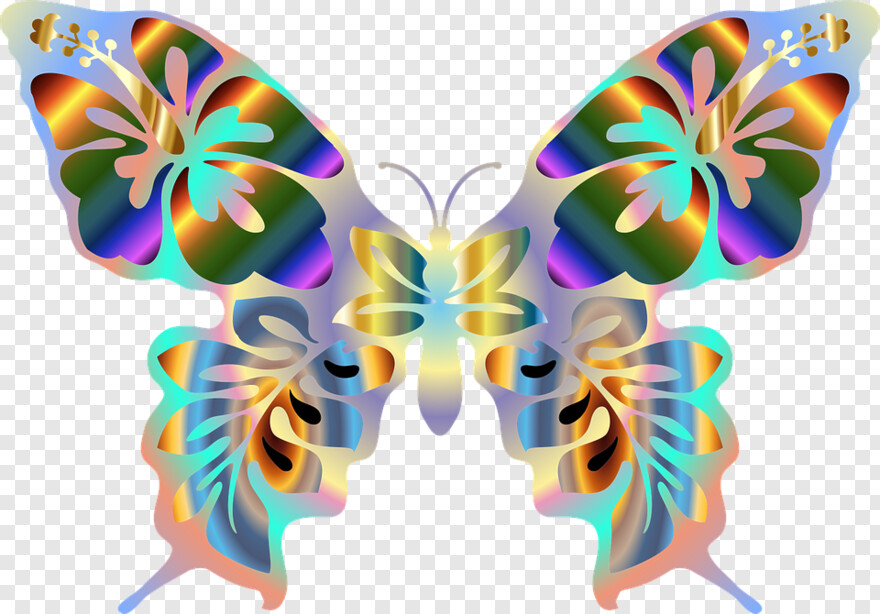butterfly-wings # 1094887