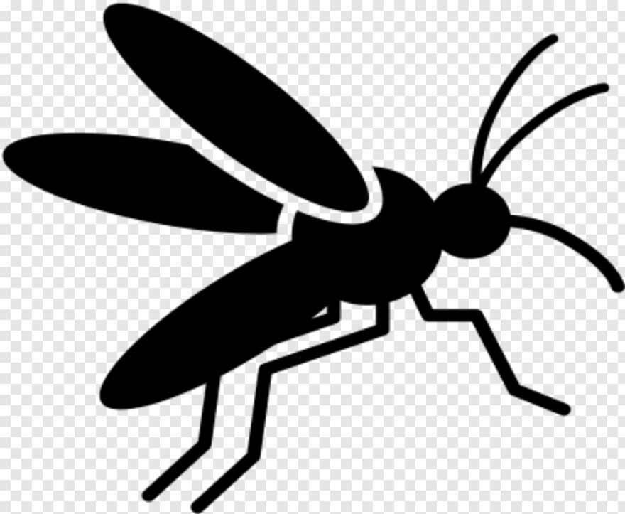 mosquito # 327970