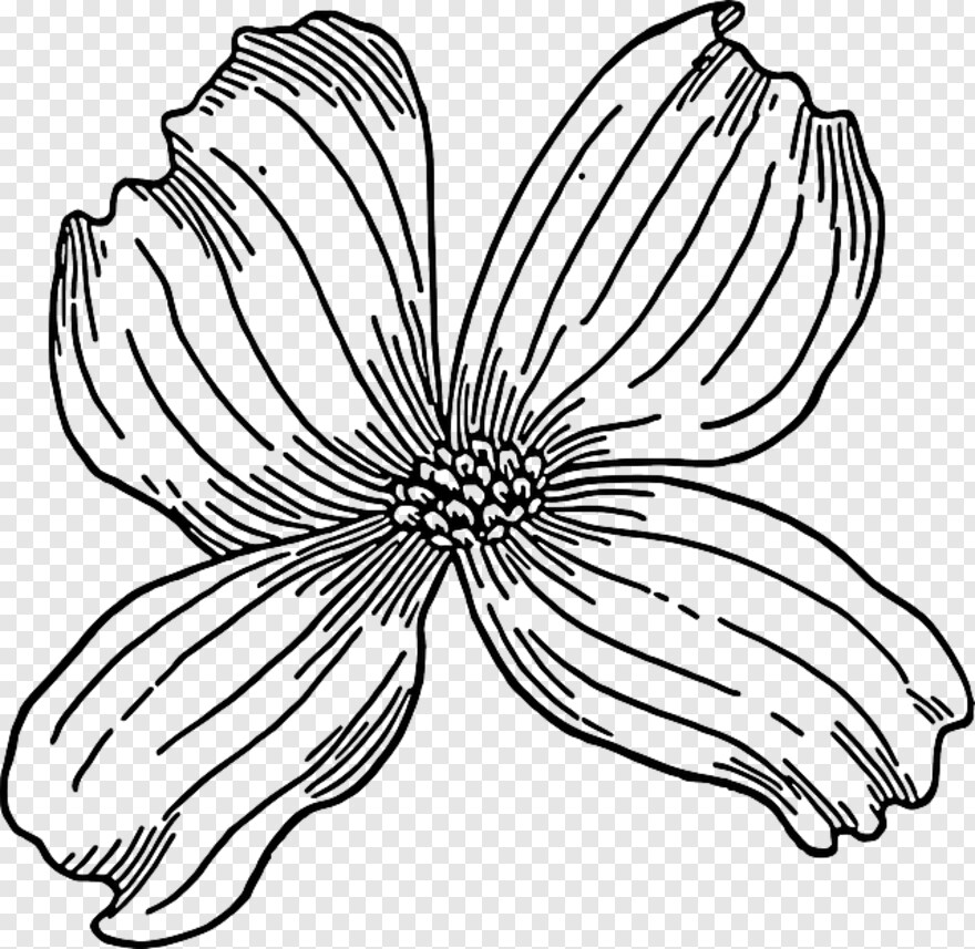 flower-drawing # 459682