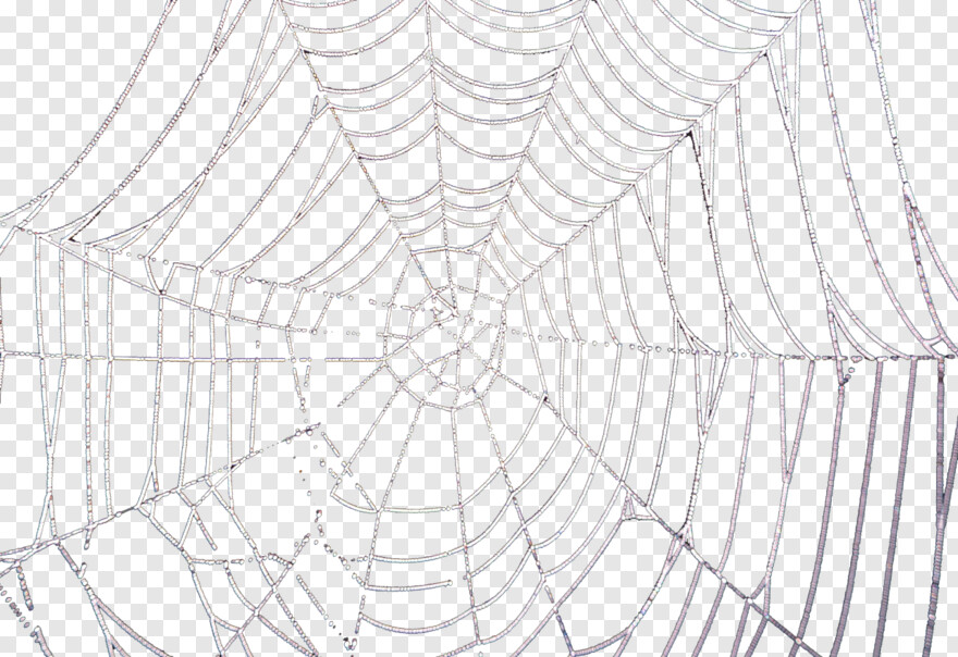 spider-web-transparent-background # 884504