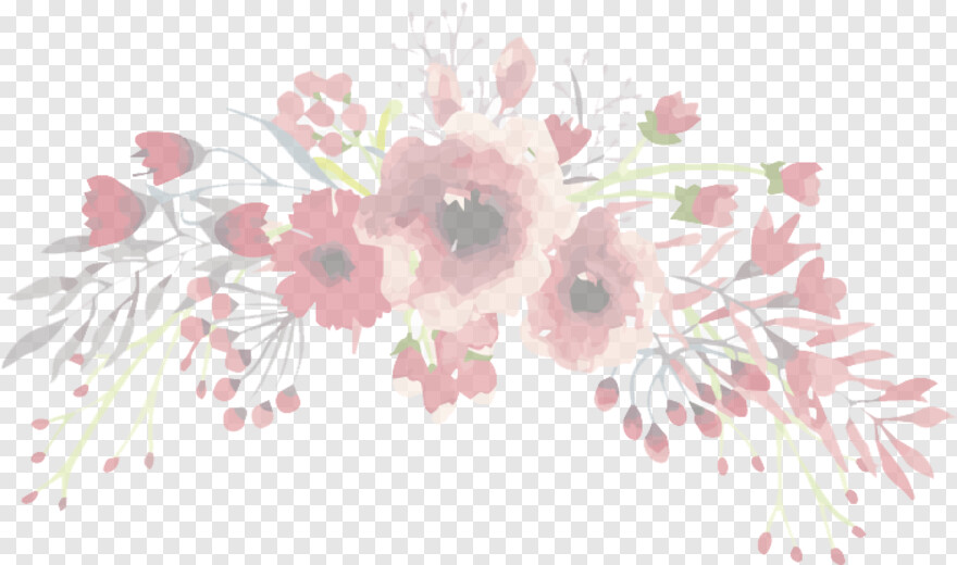  Watercolor Texture, Flower Plants, Pink Flower, Watercolor Circle, Cherry Blossom Flower, Sakura Flower