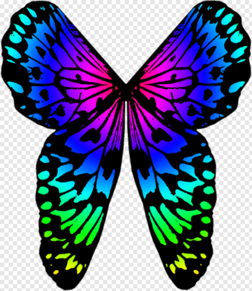 butterfly-wings # 1094639