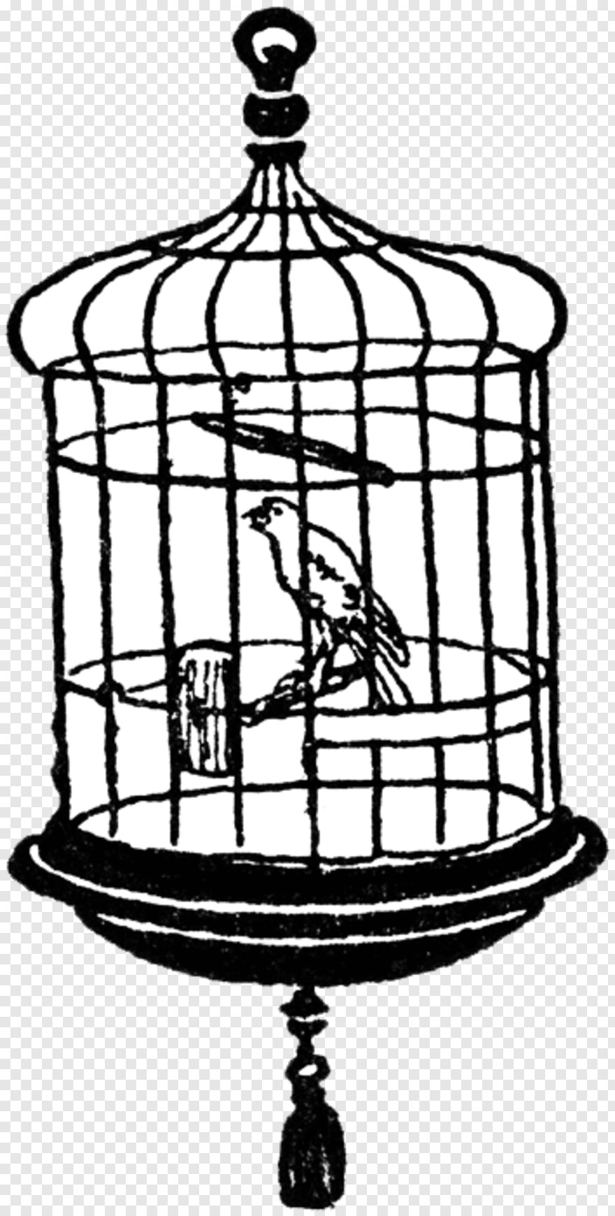 bird-cage # 360009