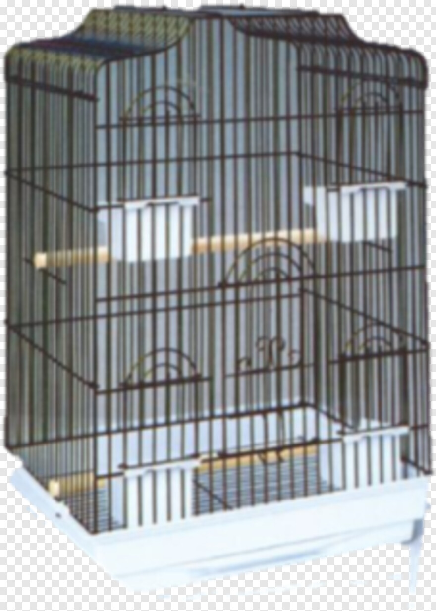  Bird Cage, Steel Cage, Twitter Bird Logo, Phoenix Bird, Big Bird, Bird Wings