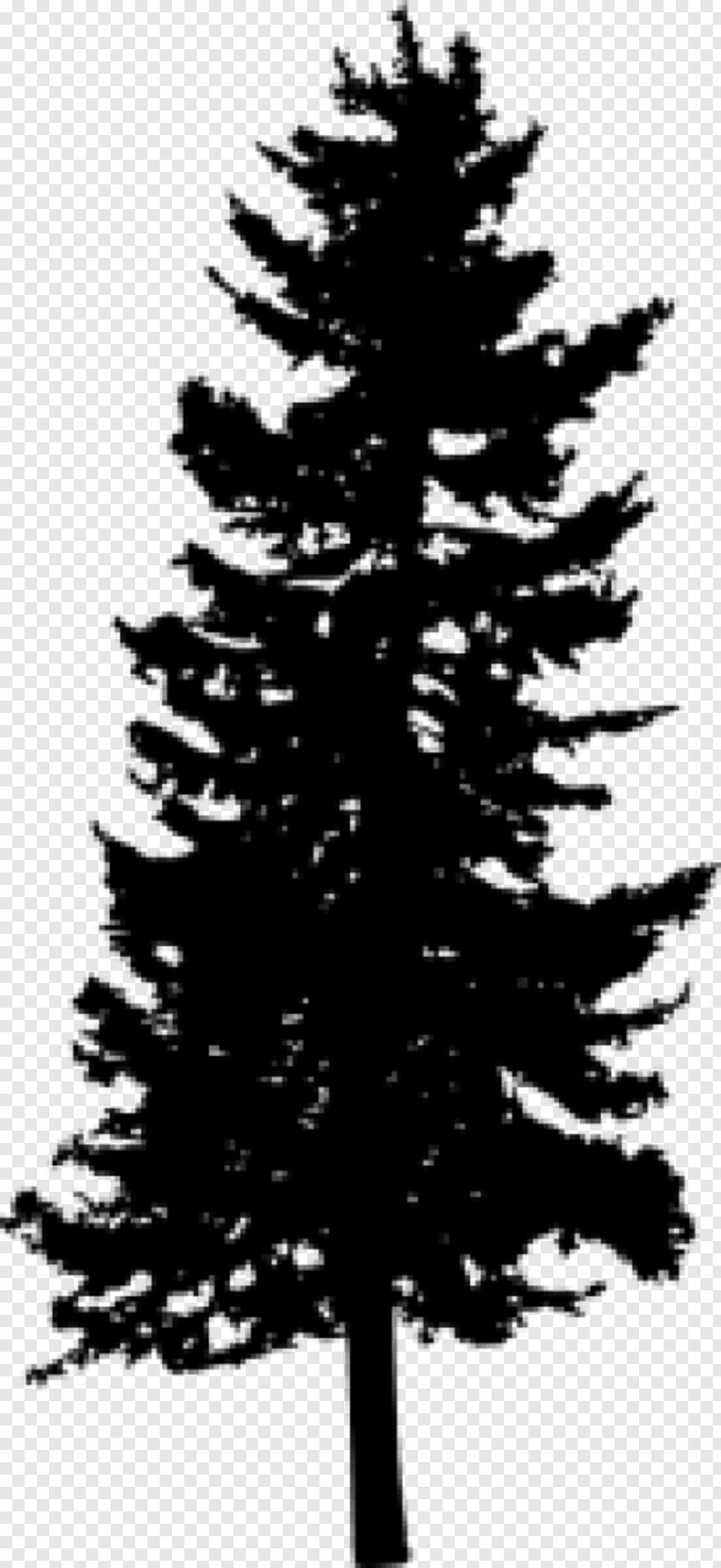 pine-tree-clip-art # 459653