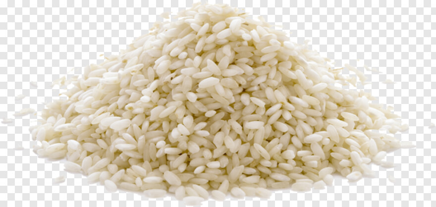 rice # 656768