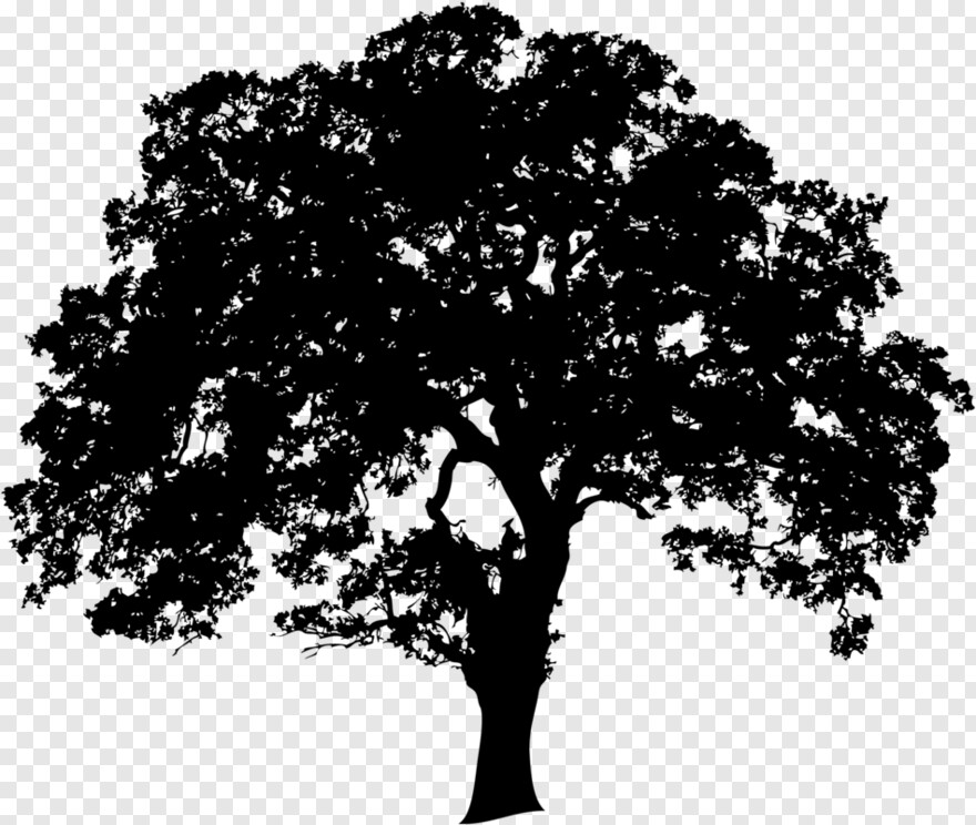 oak-tree-silhouette # 459643