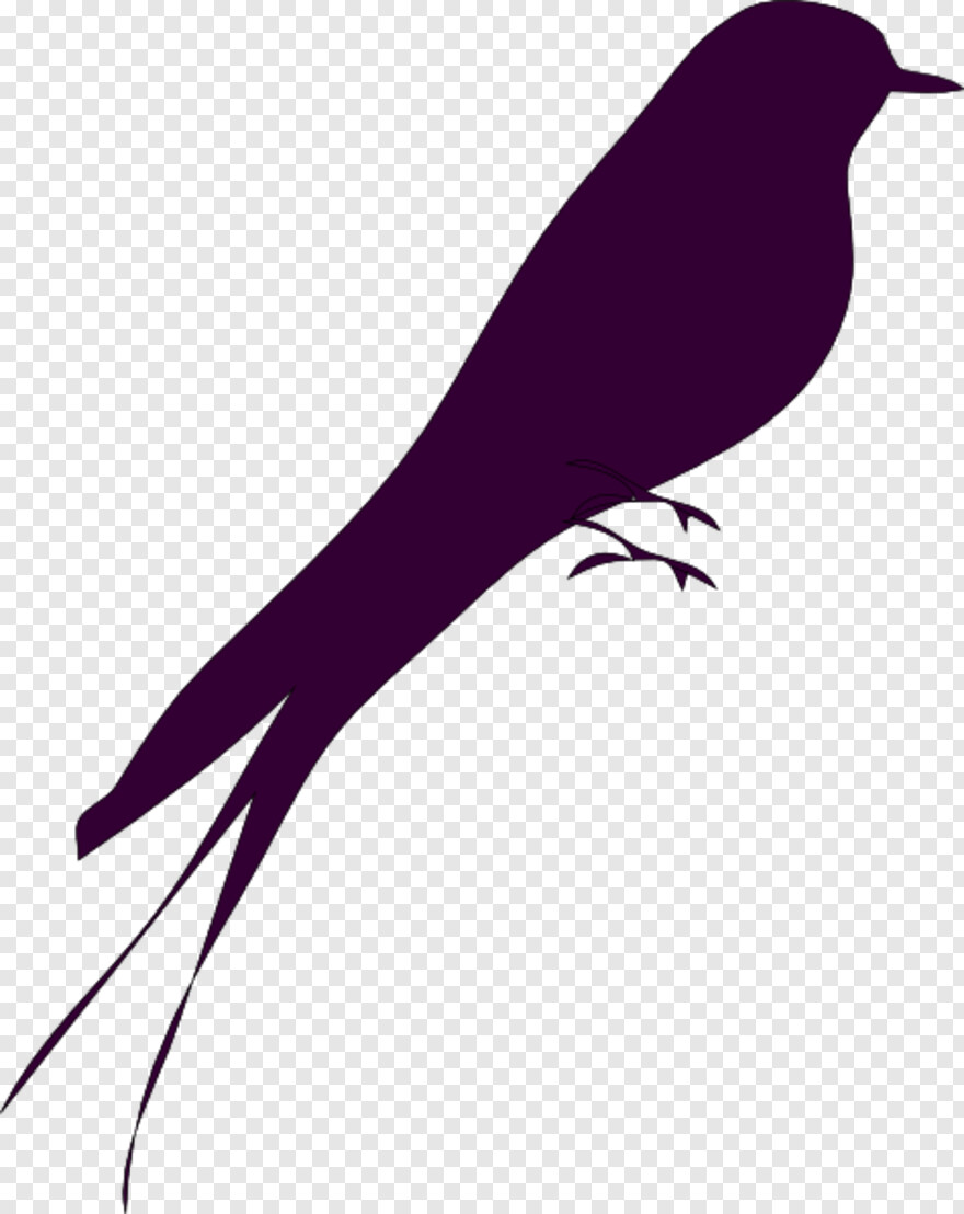  Phoenix Bird, Big Bird, Small Arrow, Small Star, Twitter Bird Logo, Small Tree