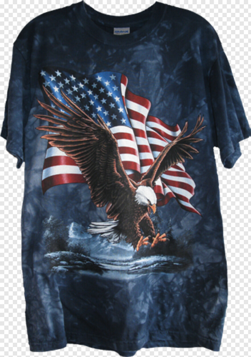 american-flag-eagle # 419578