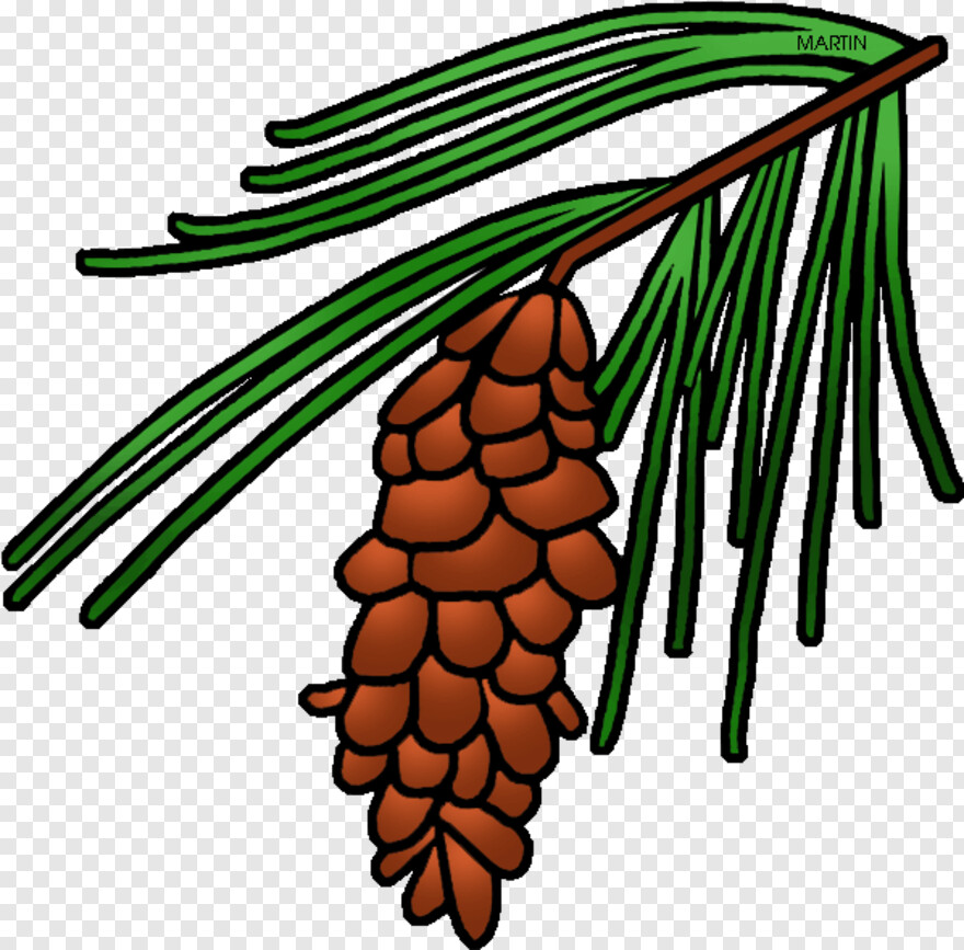 pine-cone # 461192