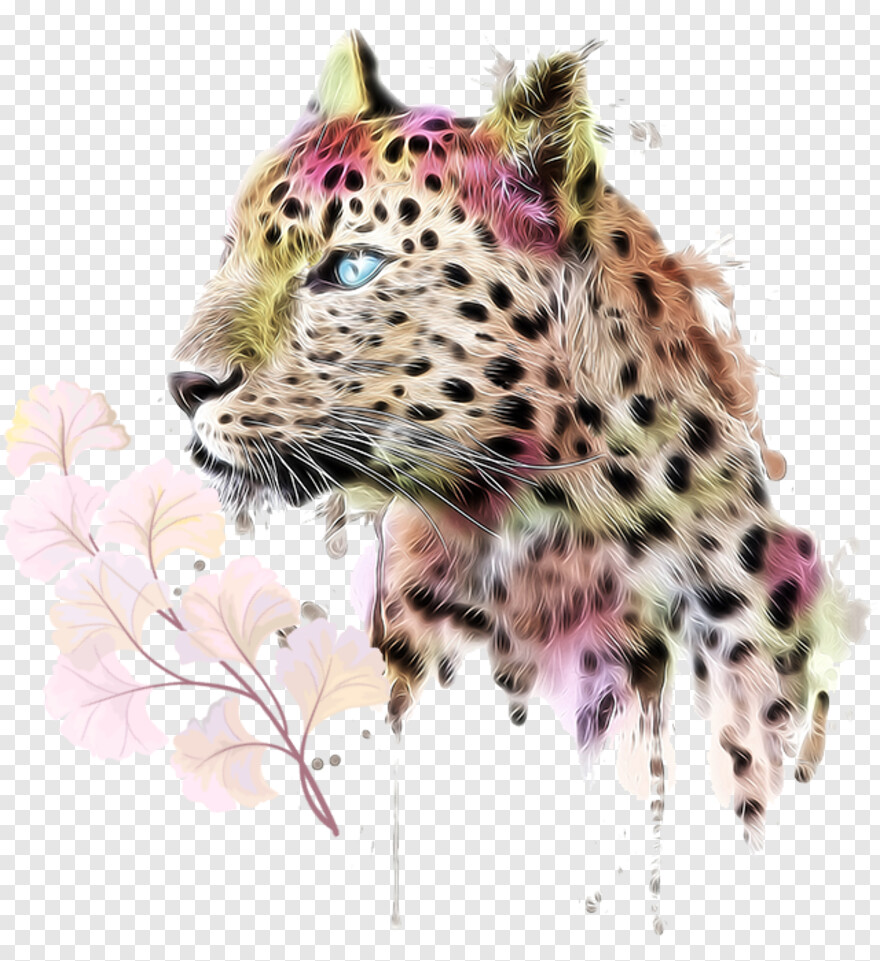 jaguar # 583641