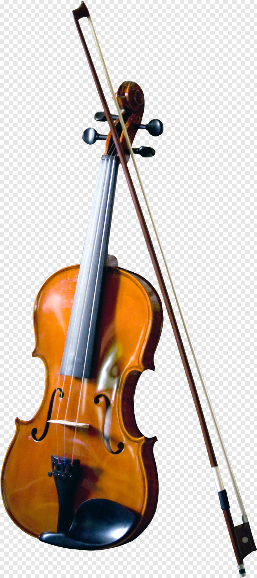 violin # 594092