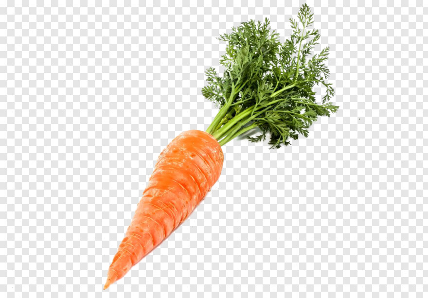 carrot # 429297