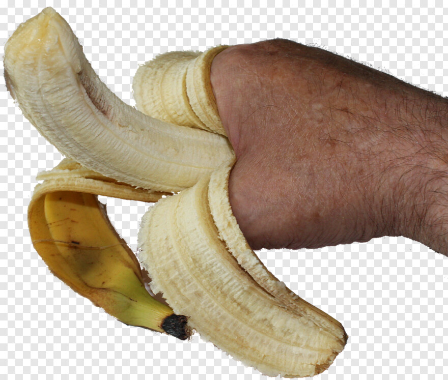 banana-tree # 413555