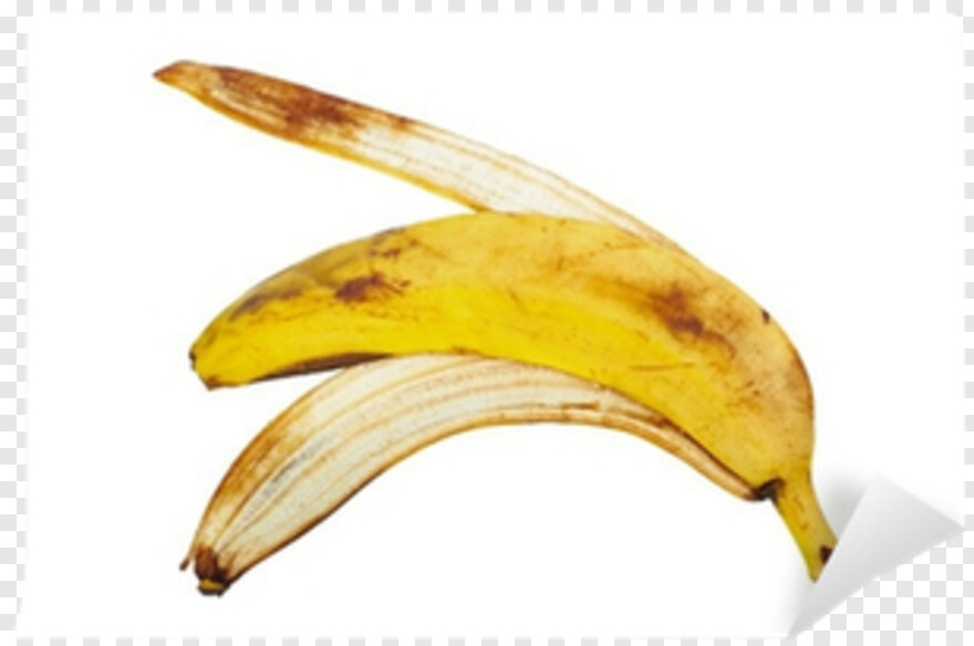  Banana Peel, Banana Split, Banana Leaf, Banana Tree