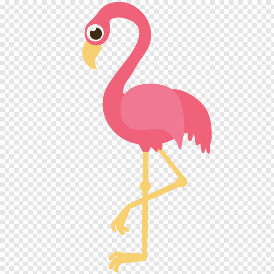flamingo # 828787