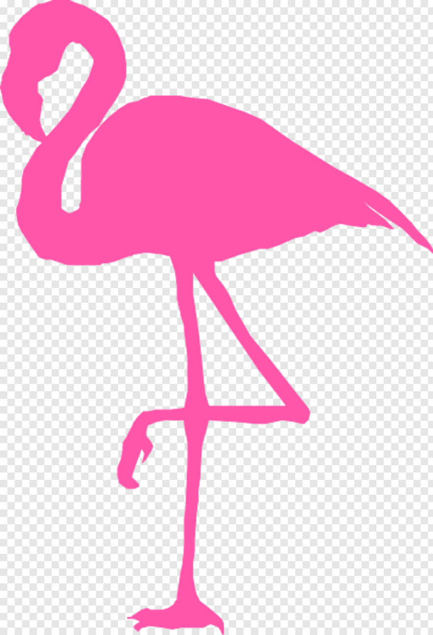 flamingo # 828740