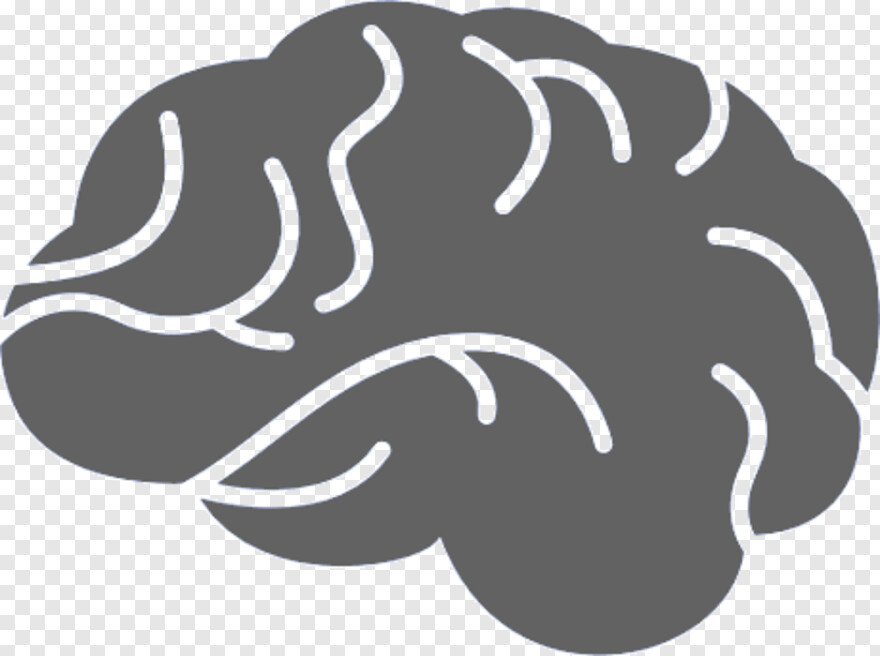 human-brain # 465345