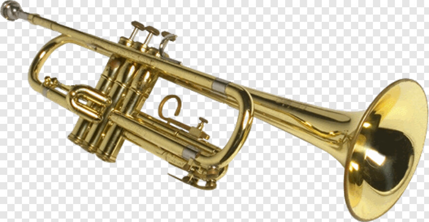 trumpet # 598257