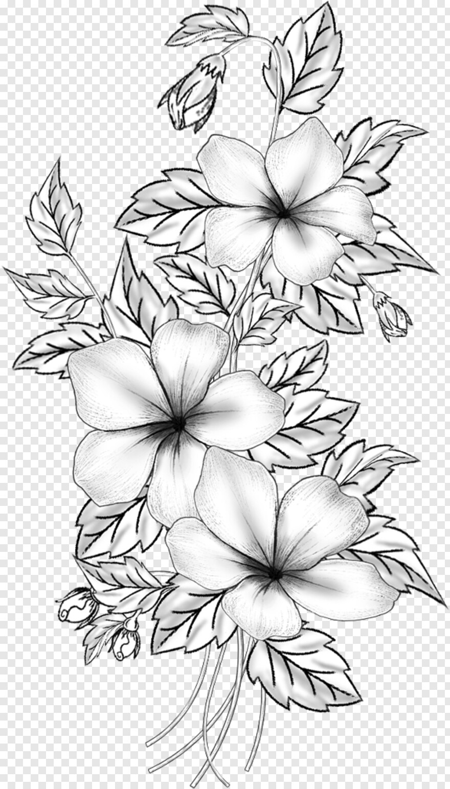 flower-border-design # 315143